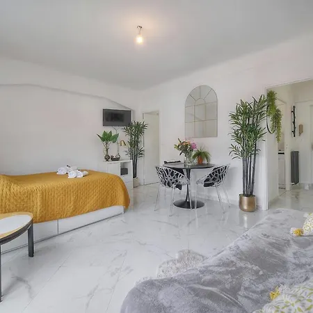 Lumineux Terrasse, Clémenceau-cannes Centre A0b192 *